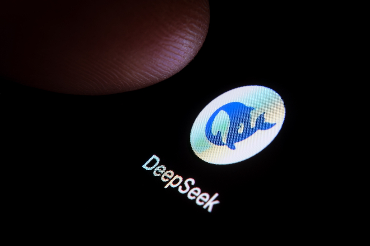 DeepSeek