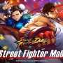 Street Fighter: Duel